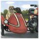 "Born to be Wild" Digital Paper Print by James Wiens, 20"x20"