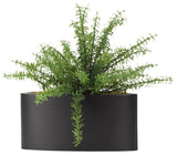 Rosemary spray in oval metal planter