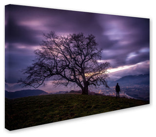 'The Tree of Love Grenoble' Canvas Art by Mathieu Rivrin