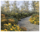 "Step Into Autumn" Digital Paper Print by Diane Romanello, 30"x24"