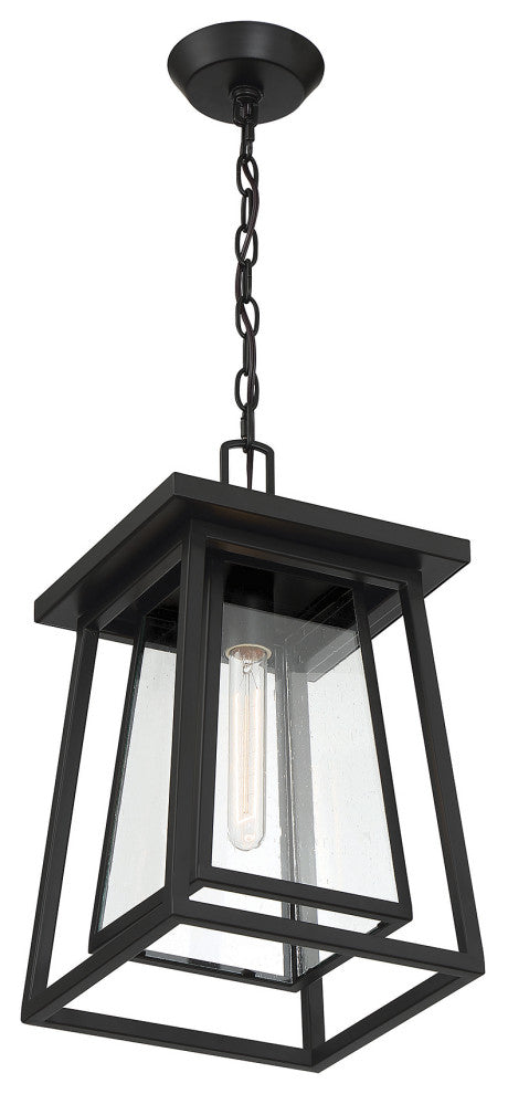 Denver 1-Light Outdoor Hanging Lantern, Matte Black