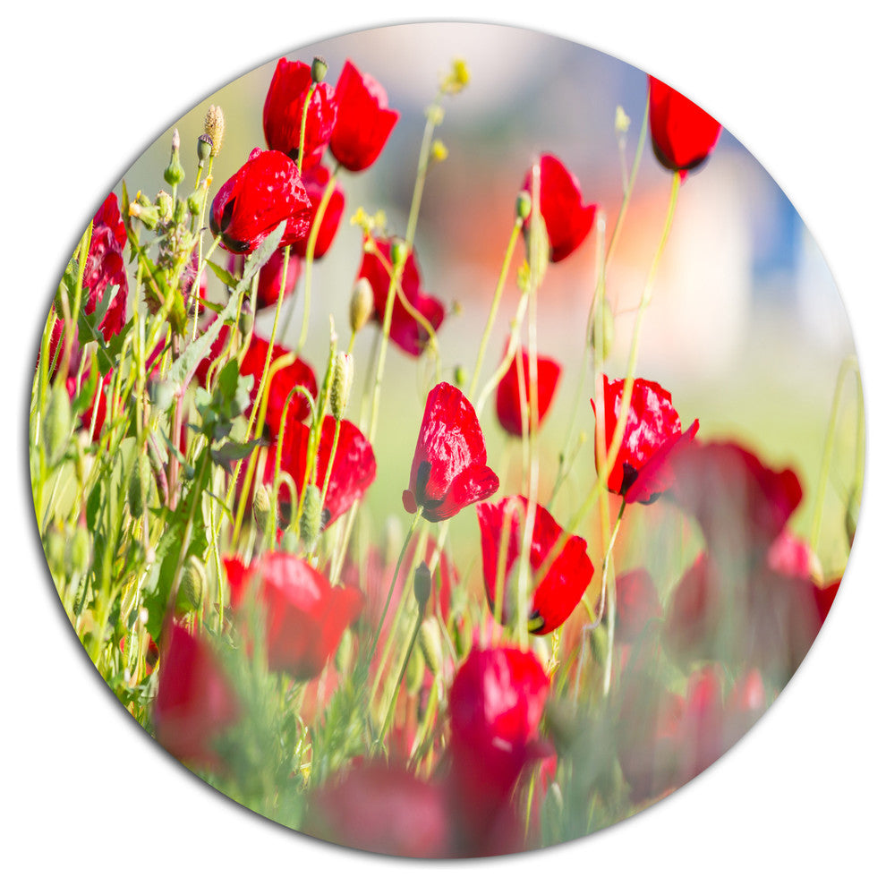 Beautiful Red Poppy Flowers View, Flower Large Disc Metal Wall Art, 11"