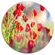 Beautiful Red Poppy Flowers View, Flower Large Disc Metal Wall Art, 11"