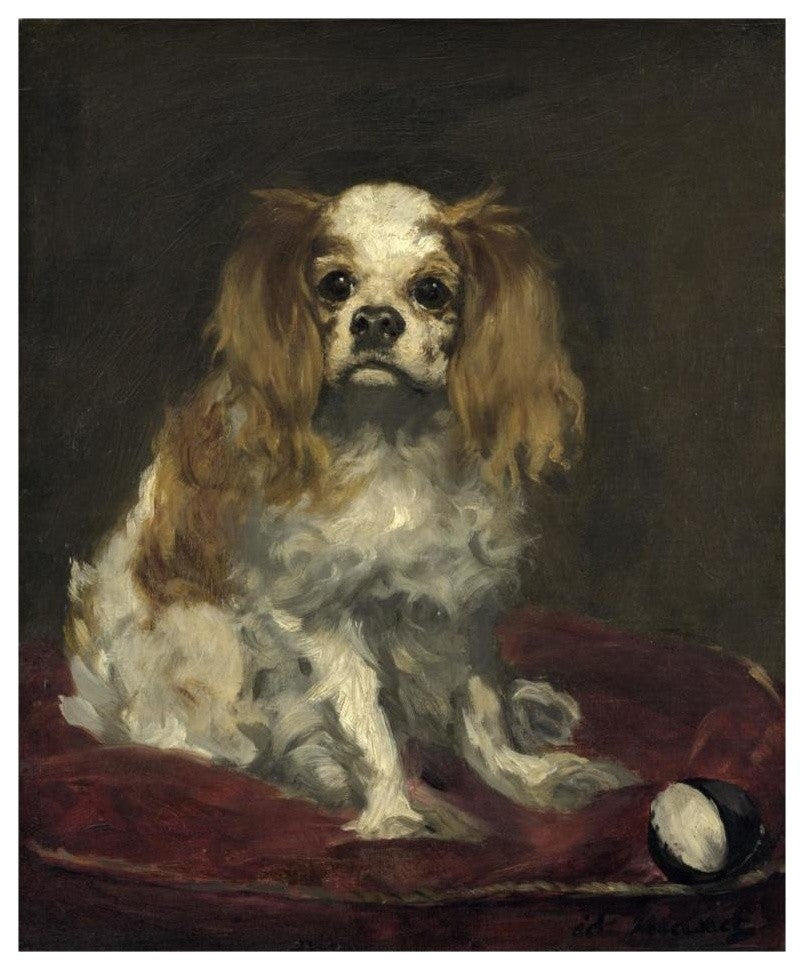"A King Charles Spaniel" Digital Paper Print by Edouard Manet, 24"x30"