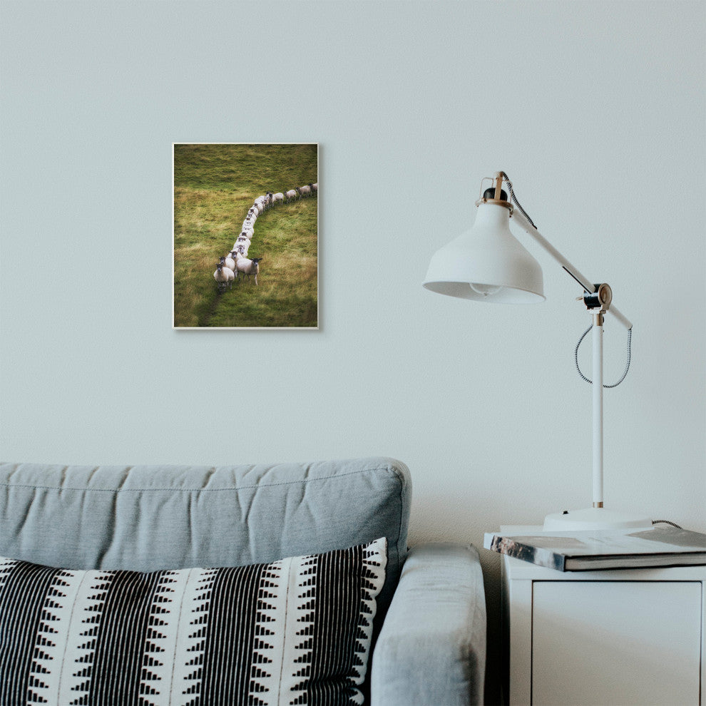 Sheep Line Farm Animal Landscape Photo, 10"x15"