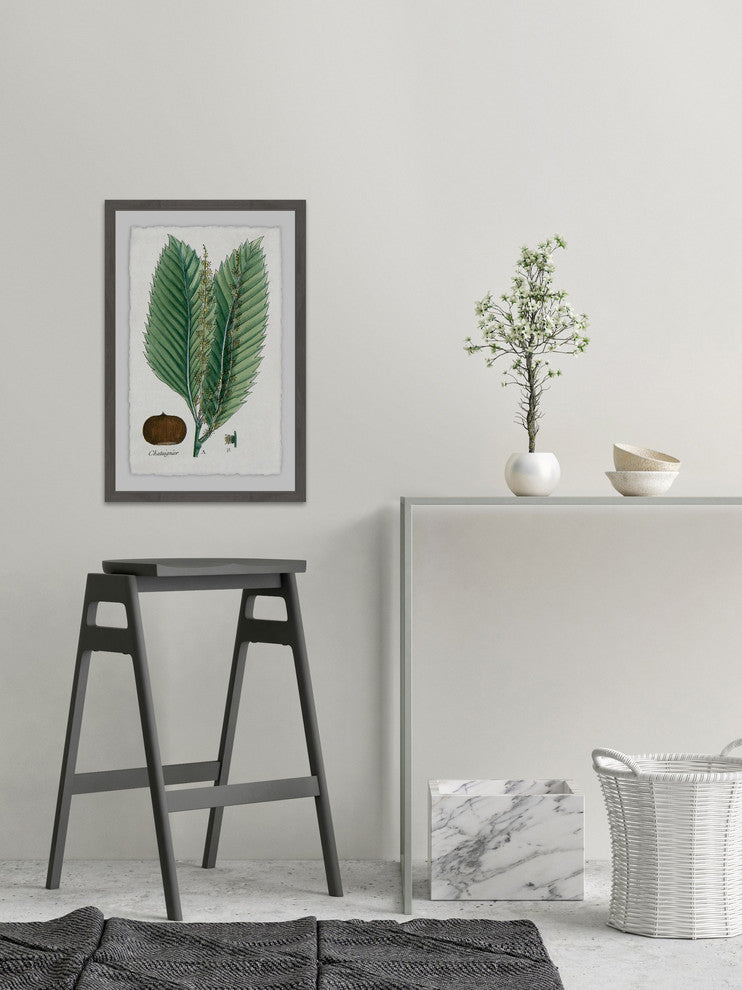 "Flore des Environs de Paris" Framed Painting Print, 16"x24"
