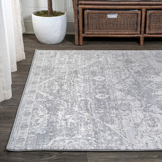 Modern Persian Vintage Medallion Light Gray 3'x5' Area Rug