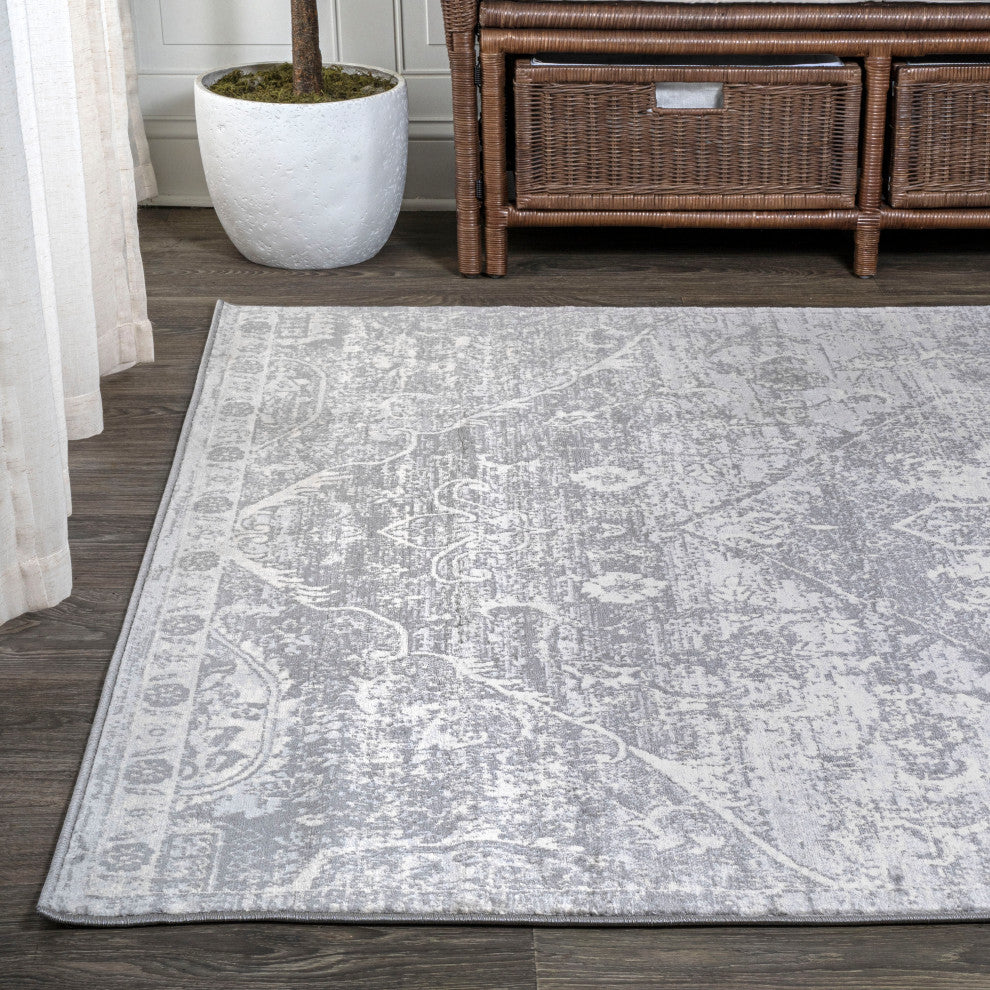 Modern Persian Vintage Medallion Light Gray 3'x5' Area Rug