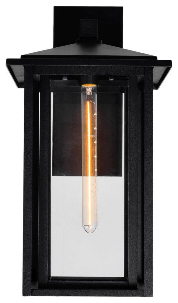 Outdoor Wall Light, Black With Clear Glass, 22"