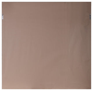 Uttermost Dandelion Seedhead Framed Print