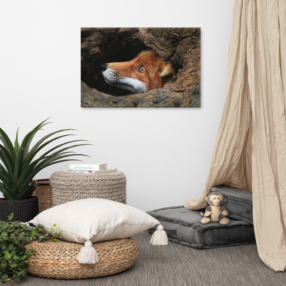 Red Fox Face in Stump Animal Wildlife Nature Photograph Canvas Wall Art Prints, 24" X 36"