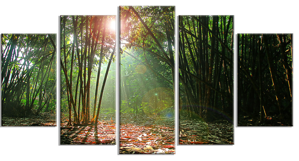 Amazing Green Forest at Sunset, Landscape Canvas Art Print, 60"x32", 5 Panels