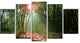 Amazing Green Forest at Sunset, Landscape Canvas Art Print, 60"x32", 5 Panels