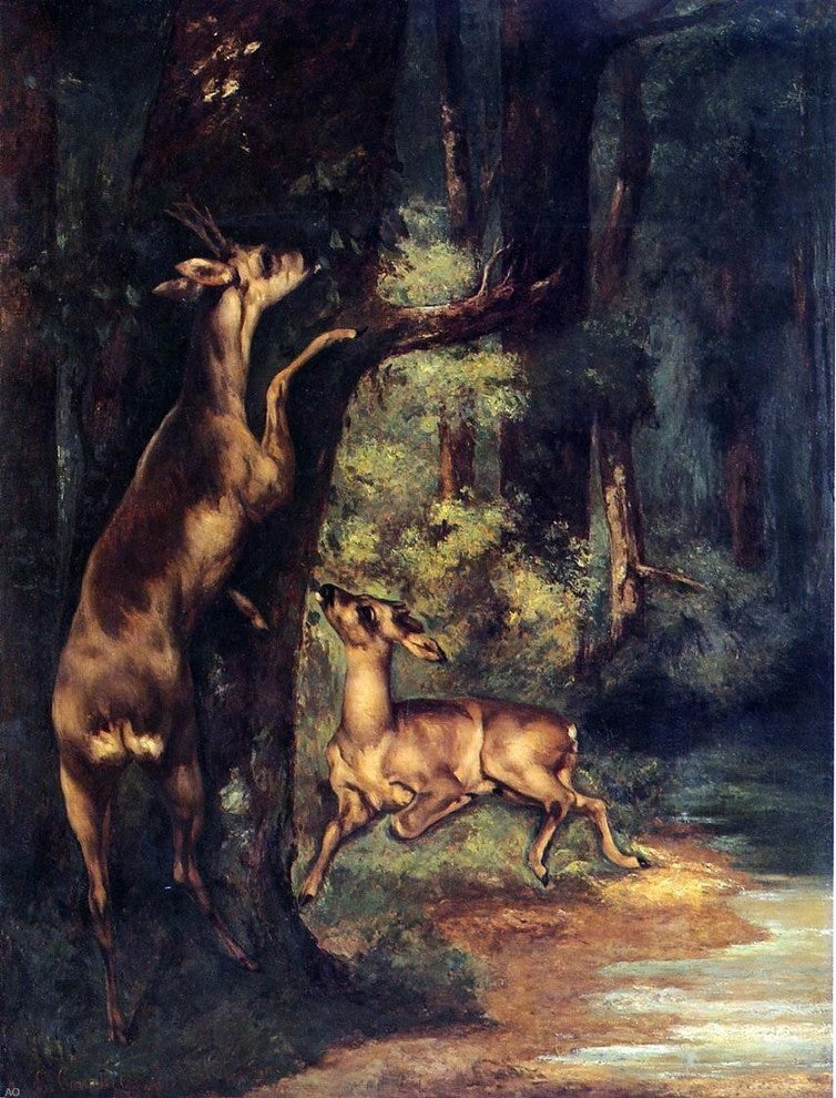 Gustave Courbet Male and Female Deer in the Woods Gallery Wrapped Canvas Print
