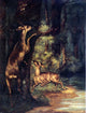 Gustave Courbet Male and Female Deer in the Woods Gallery Wrapped Canvas Print