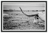 The Horn Fine Art Print, Black, 30"x45"