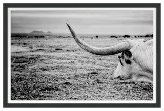 The Horn Fine Art Print, Black, 30"x45"