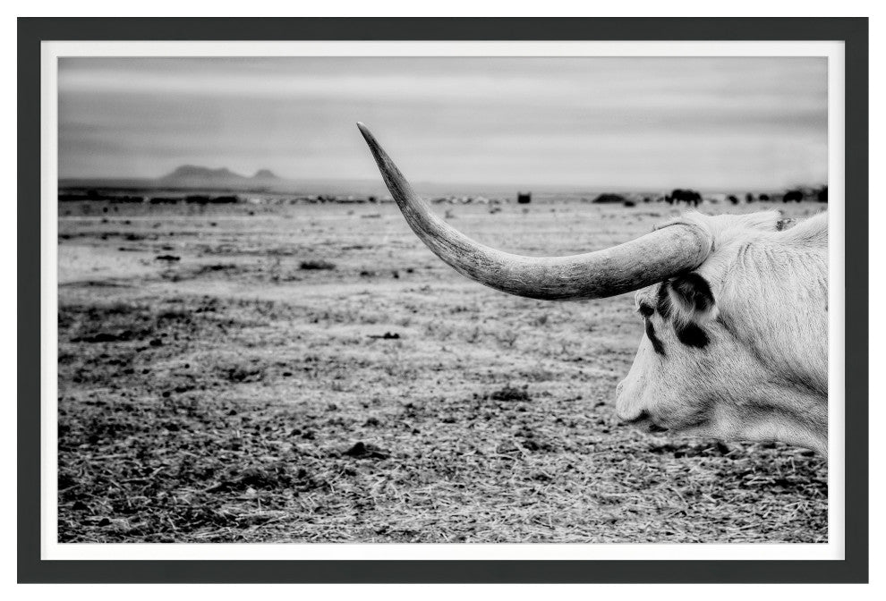 The Horn Fine Art Print, Black, 30"x45"
