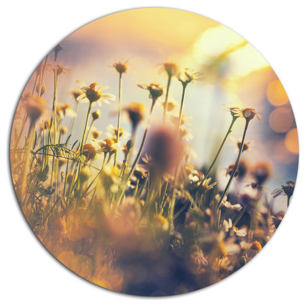 Sunny Meadow Flowers And Grass, Flower Disc Metal Artwork, 23"
