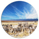 Herd Of Zebras Under Blue Sky, African Round Metal Wall Art, 23"