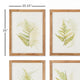 6-Piece Framed Fern Study Set