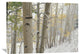 "Aspens With Snow, Gunnison National Forest, Colorado" Artwork, 40" x 30"