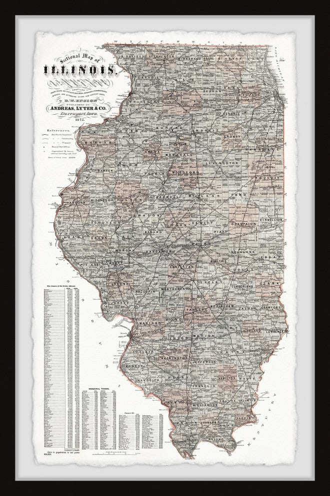 "Detailed Illinois State Map" Framed Painting Print, 24x36