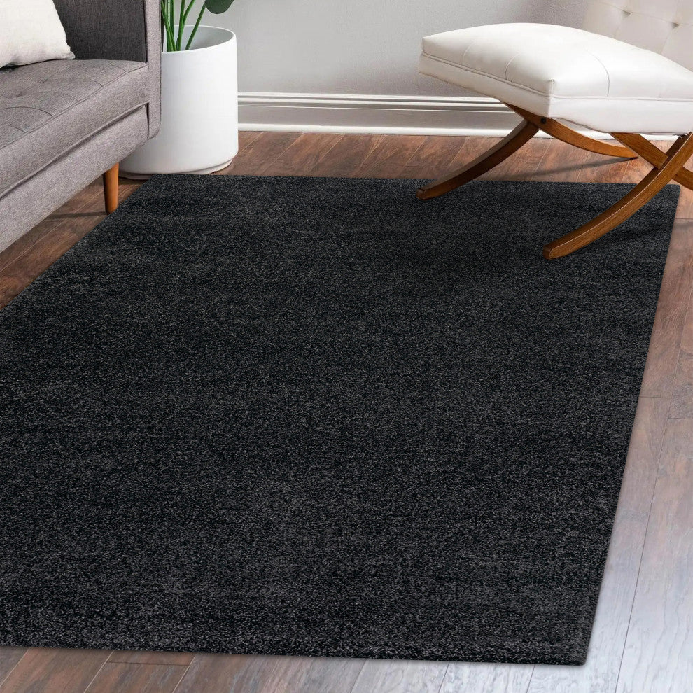 Haze Solid Low-Pile Black 10 ft. x 14 ft. Area Rug