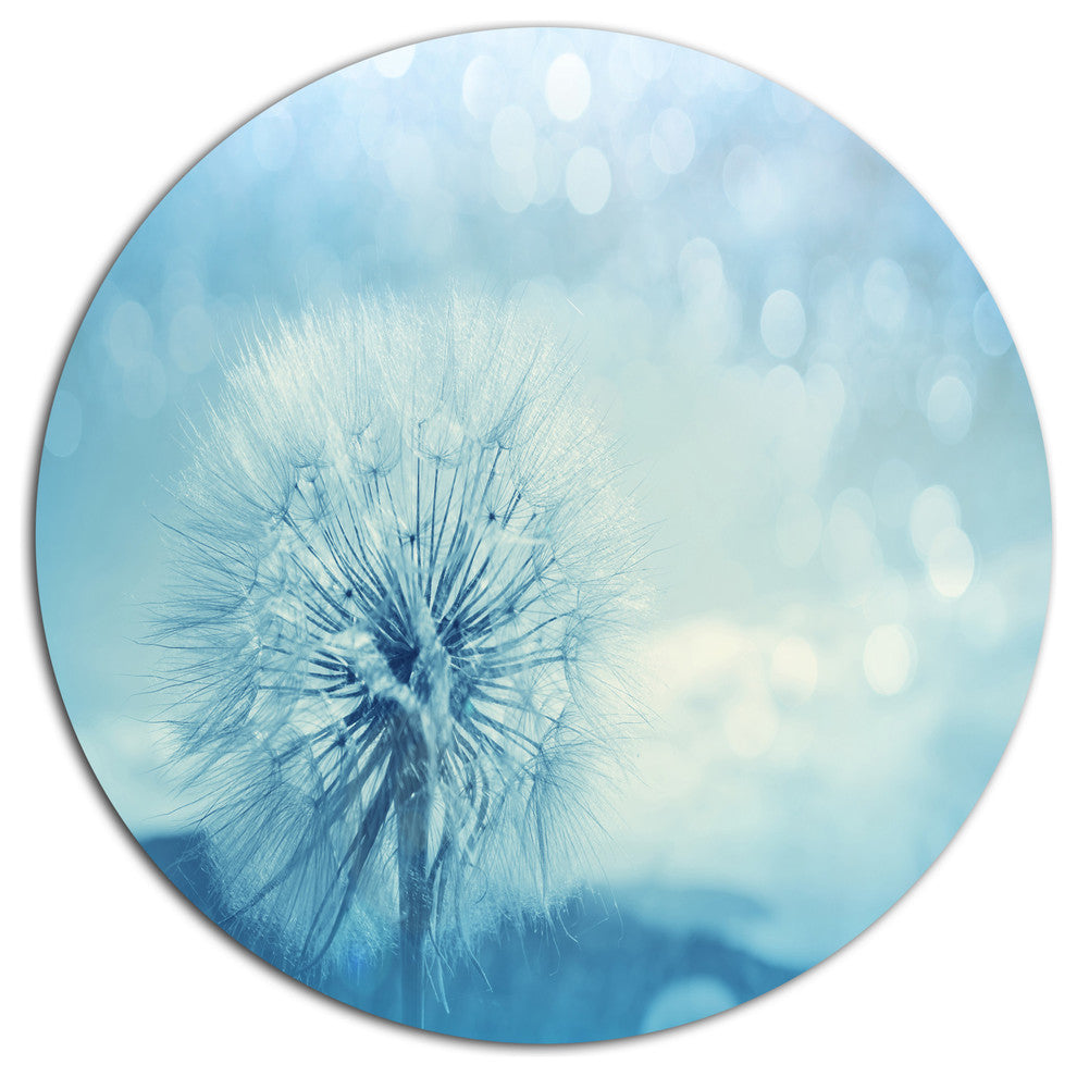 Close-Up White Dandelion With Filter, Flower Disc Metal Wall Art, 36"