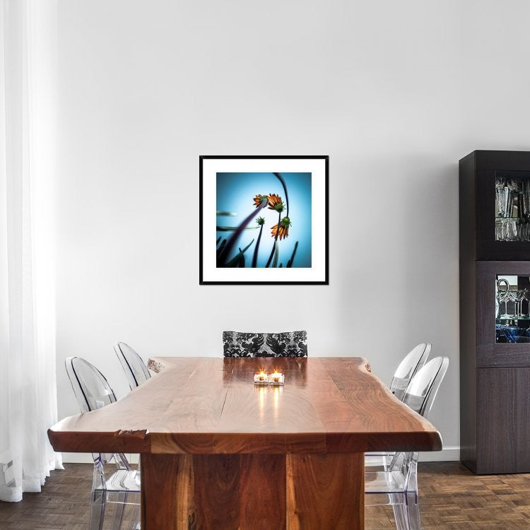 "Flowerlove" Framed Digital Print by Fgr100, 30x30"