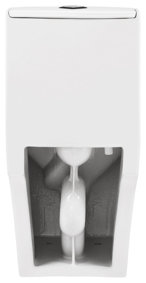 Brusque One-Piece Square Toilet Dual-Flush 1.1/1.6 gpf