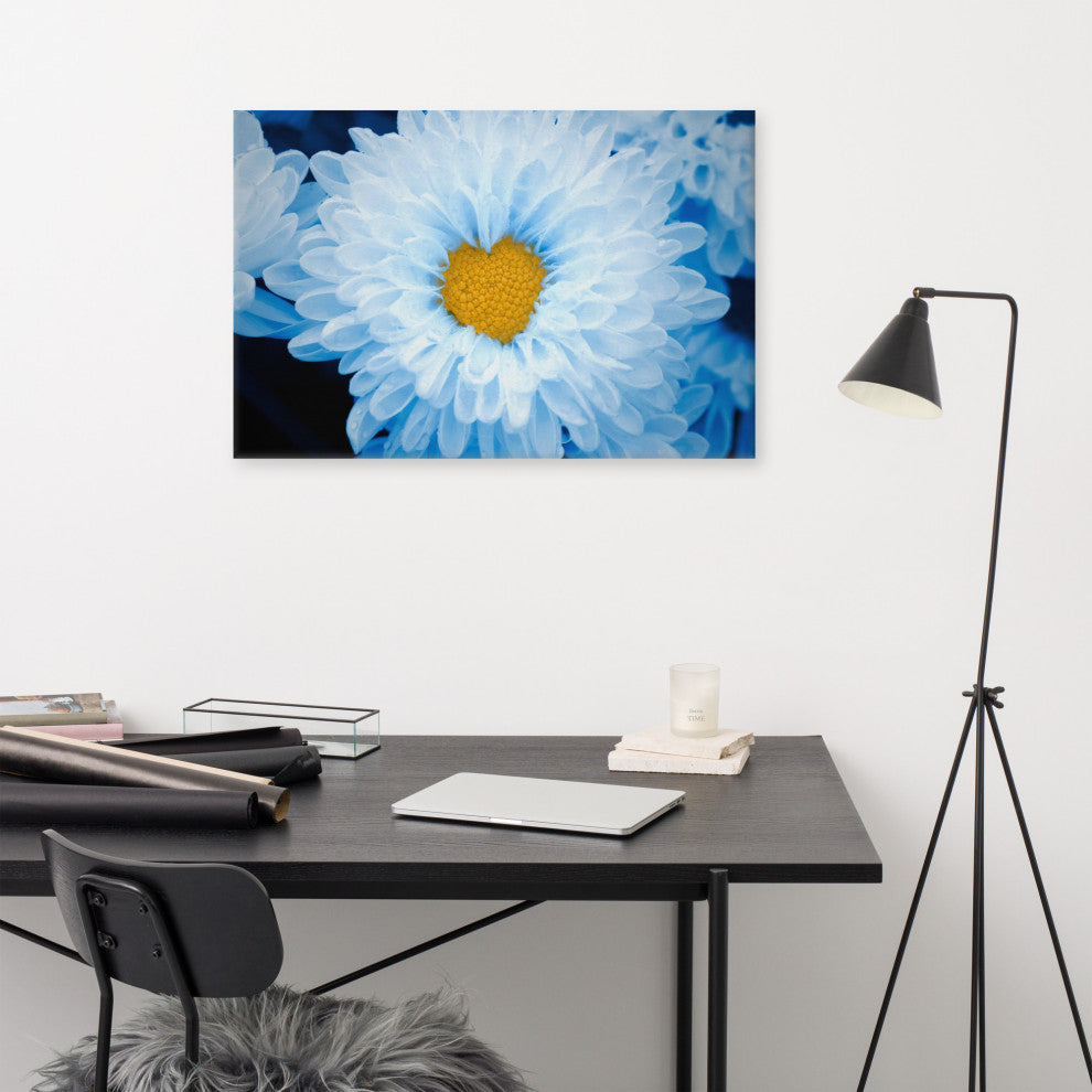 Blue Tinted Chrysanthemums Nature Photo Botanical Floral Canvas Wall Art Print, 24" X 36"