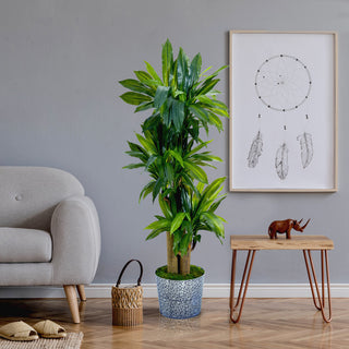 Lifestyle image showing the plant in a real room setting, unobstructed view of the entire product, no text or diagram overlays.