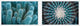 Glorious Spikes Diptych, 36x12
