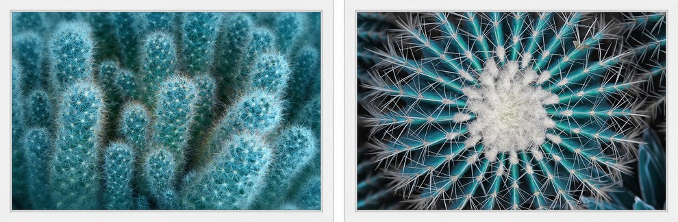 Glorious Spikes Diptych, 36x12