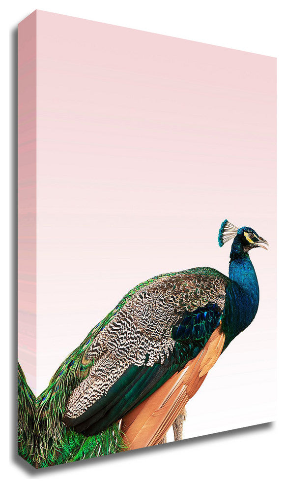 Peacock on Pink by Design Fabrikken, Print on Canvas, 30"x42"