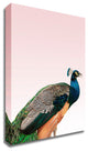 Peacock on Pink by Design Fabrikken, Print on Canvas, 30"x42"