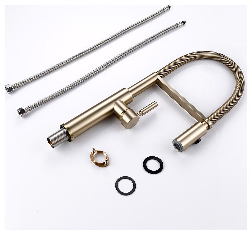 Single Handle Pull Out Spout Kitchen Faucet