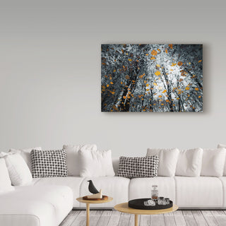 Florentin Vinogradof 'Mysterious Death Of Nature' Canvas Art, 19"x12"