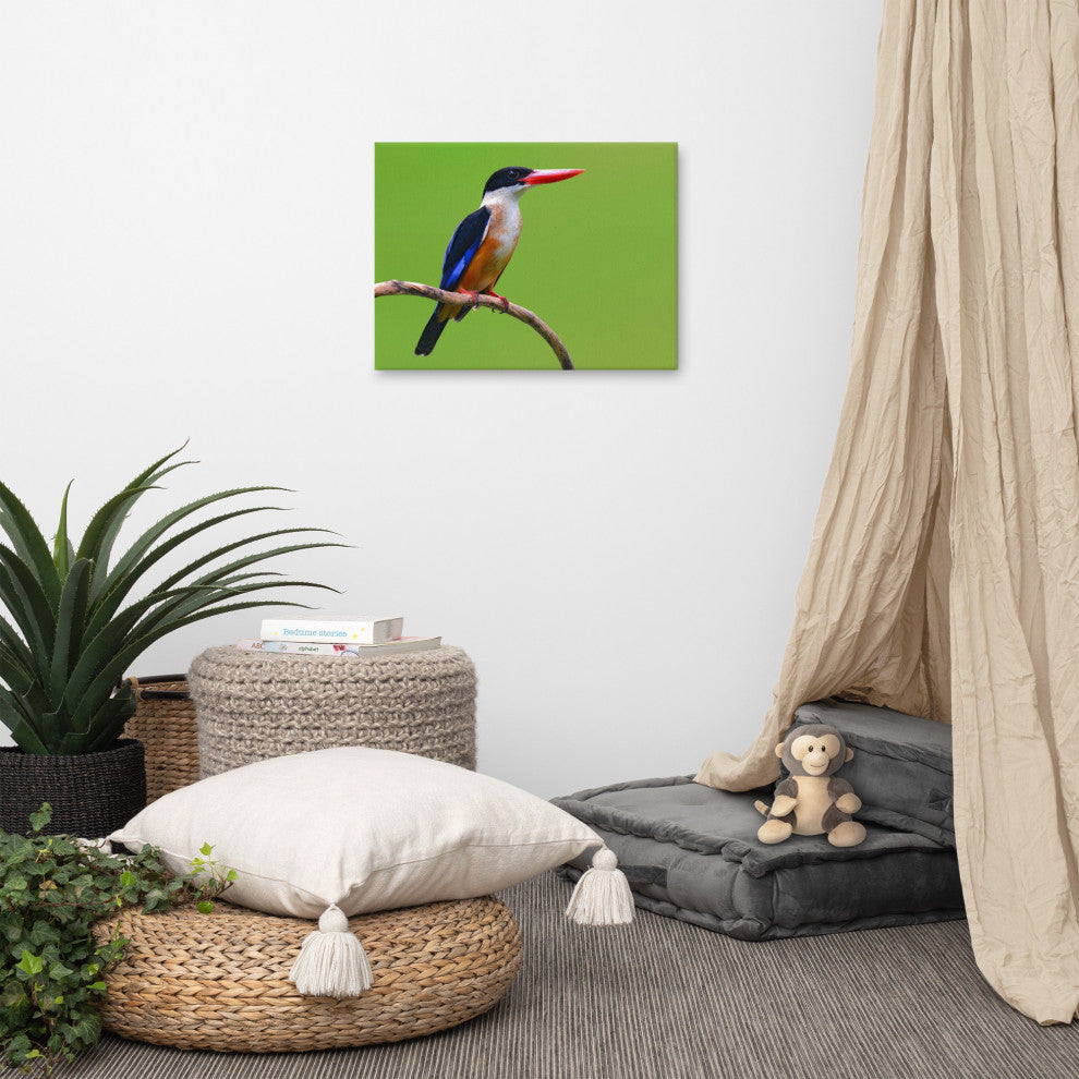 Black Capped Kingfisher Bird on Perch Wildlife Photograph Canvas Wall Art Print, 18" X 24"