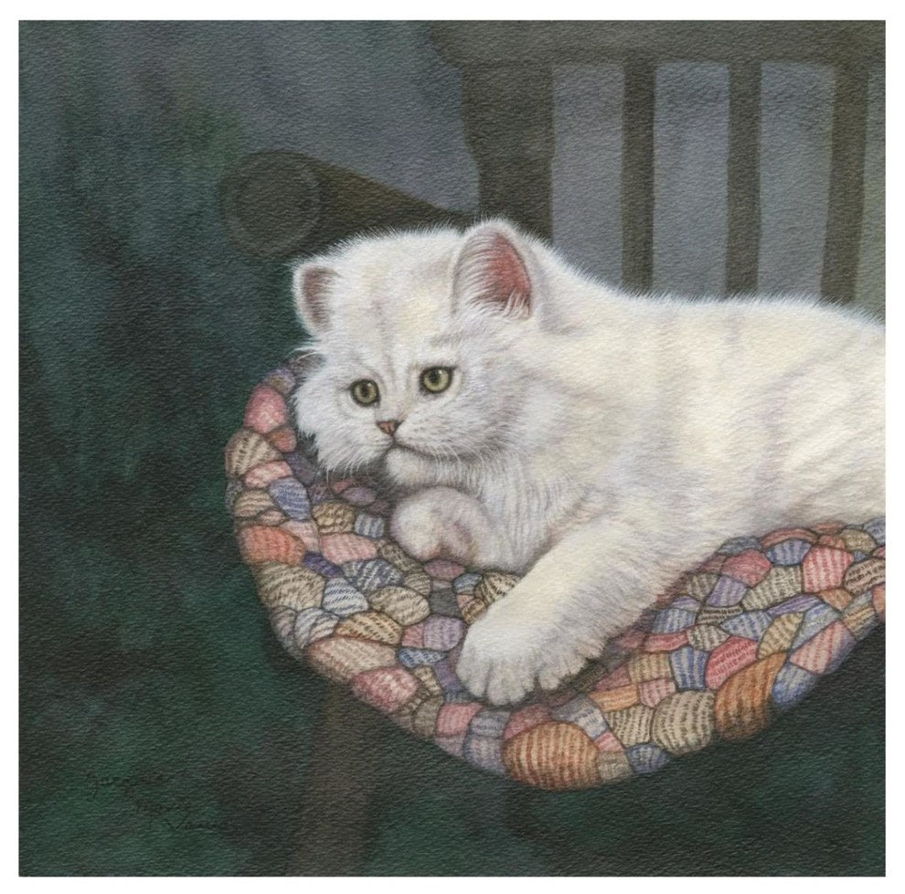 "Kitten on Chair" Digital Paper Print by Jacquie Vaux, 42"x42"