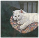 "Kitten on Chair" Digital Paper Print by Jacquie Vaux, 42"x42"