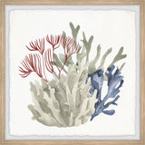 "Seaweed Bloom" Framed Painting Print, 12x12