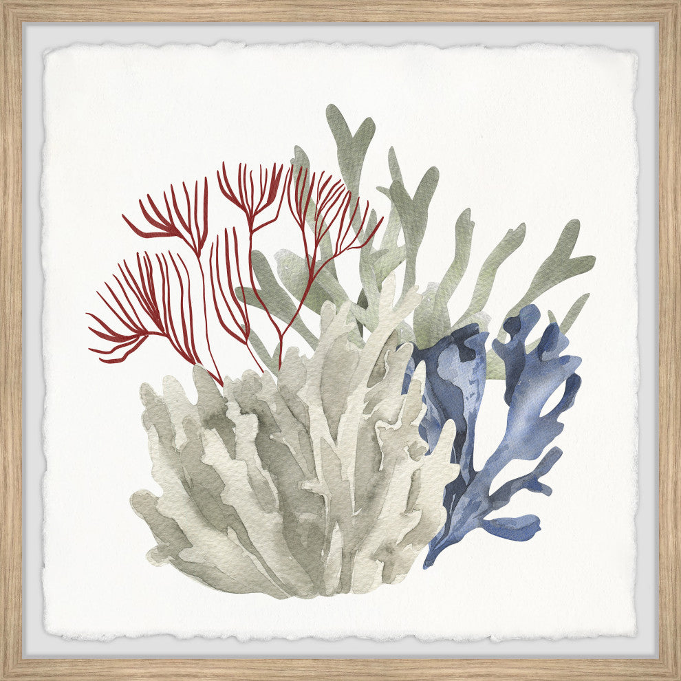 "Seaweed Bloom" Framed Painting Print, 12x12