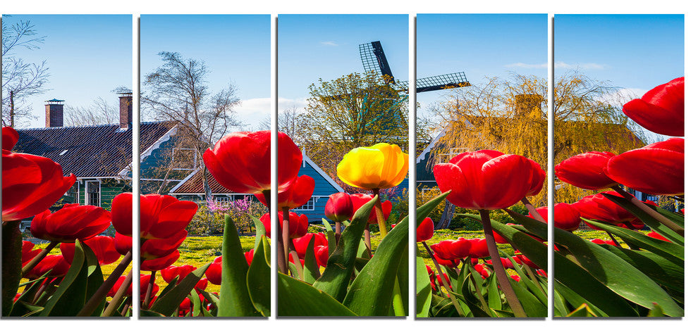 Tulips in the Netherlands Village, Floral Canvas Print, 60"x28", 5 Panels