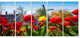 Tulips in the Netherlands Village, Floral Canvas Print, 60"x28", 5 Panels