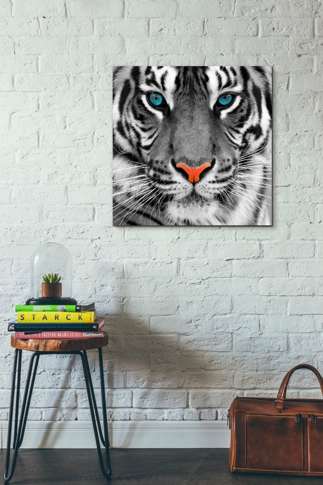 Epic Graffiti "Thrill of the Tiger" Giclee Canvas Wall Art, 26"x26"