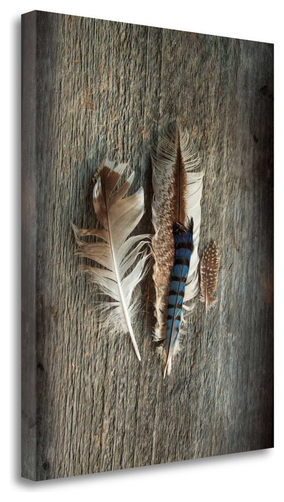 "Feather Collection III" By Sue Schlabach, Giclee Print on Gallery Wrap Canvas