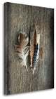 "Feather Collection III" By Sue Schlabach, Giclee Print on Gallery Wrap Canvas