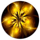 Shiny Gold Fractal Flower On Black, Floral Round Wall Art, 23"